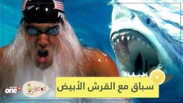 شاهد.. سباق بين أفضل سباح في العالم وأعتى وحش في المحيط