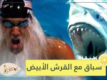 شاهد.. سباق بين أفضل سباح في العالم وأعتى وحش في المحيط