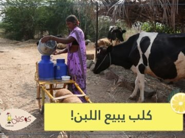 ماني.. كلب يجر عربة كارو لبيع اللبن ويقدمها للسكان بمفرده