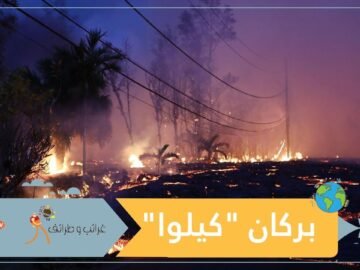 بركان كيلوا يفحم هاواي ويطرد سكانها