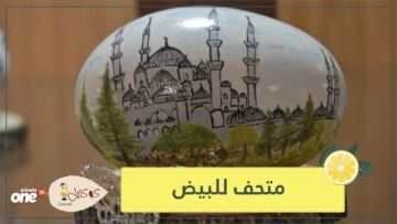 متحف للبيض.. الأول من نوعه في تركيا