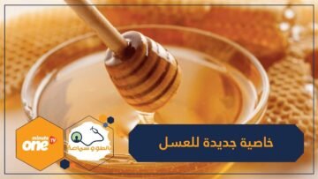 إضافة إلى فوائده الكثيرة.. اكتشاف خاصية علاجية جديدة للعسل!
