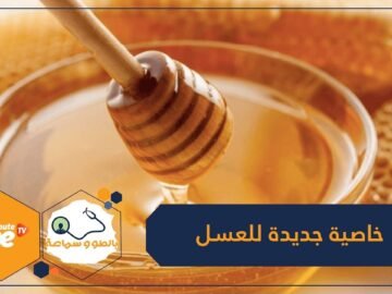 إضافة إلى فوائده الكثيرة.. اكتشاف خاصية علاجية جديدة للعسل!
