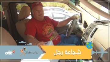 كيف تفادى هذا السائق لدغات سرب نحل غزا شاحنته؟