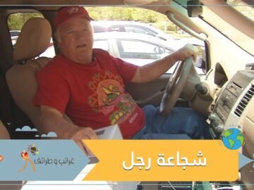 كيف تفادى هذا السائق لدغات سرب نحل غزا شاحنته؟