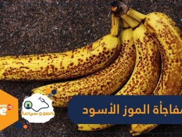 دراسة ستفاجئك عن سواد الموز.. إذا كنت ترميه فلن تفعلها مرة أخرى!