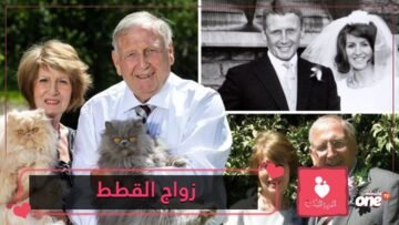 طلقها بسبب قططها العشرة وتزوجا من جديد مع 40 قطة!
