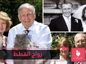 طلقها بسبب قططها العشرة وتزوجا من جديد مع 40 قطة!