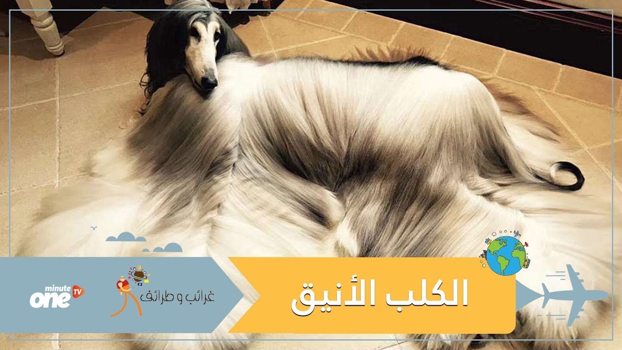 التحميل المسبق صورة