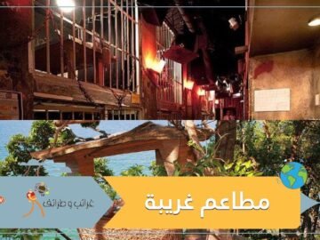 ساحرات وسجن.. مطاعم غريبة بأفكار غير تقليدية