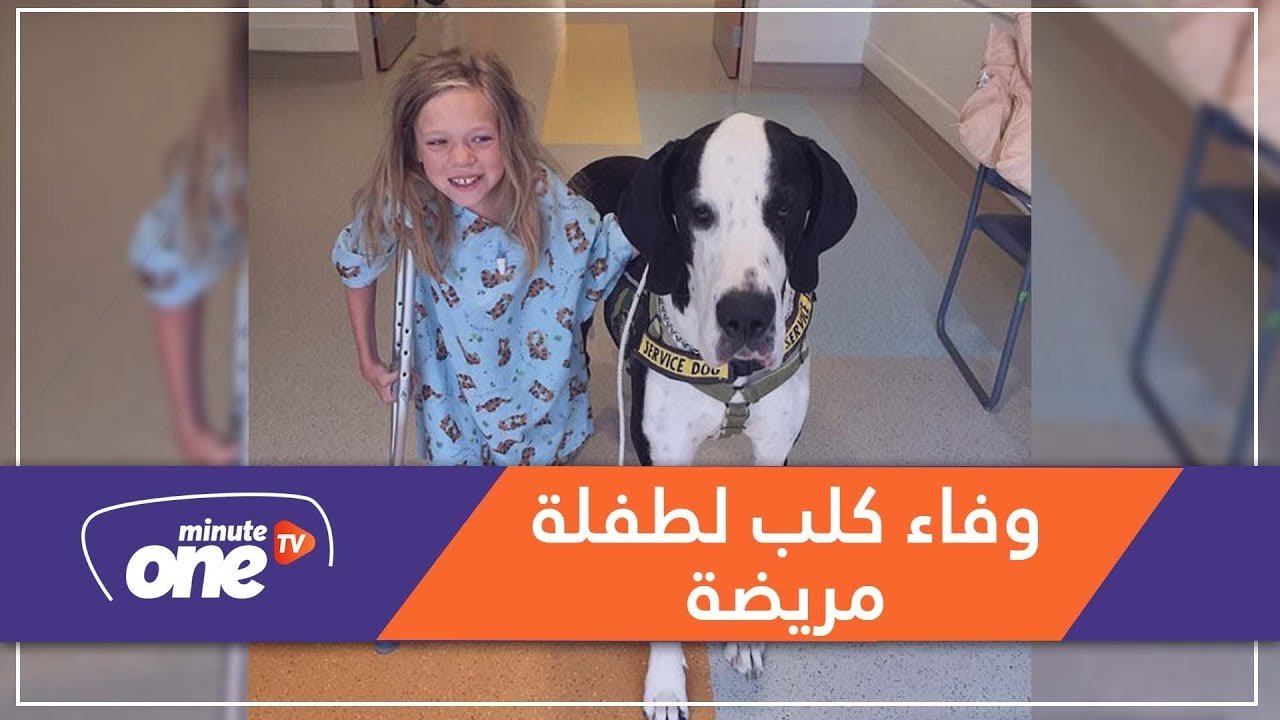 التحميل المسبق صورة