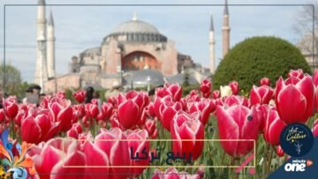 ربيع إسطانبول.. ألوان وخضرة