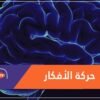 كيف تتحرك الأفكار عبر الدماغ؟ دراسة ستجيبك