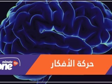 كيف تتحرك الأفكار عبر الدماغ؟ دراسة ستجيبك