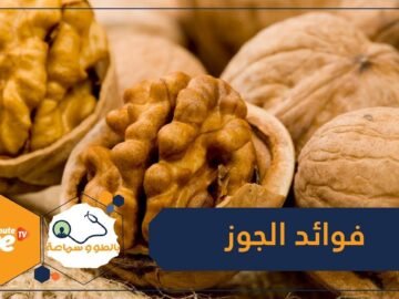 علماء: الجوز يكافح أحد أخطر أمراض العصر!