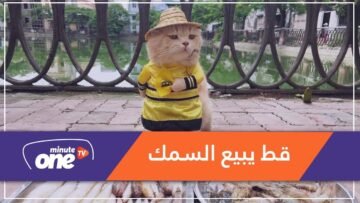 القط دوغ أشهر بائع سمك في فيتنام