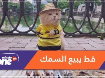 القط دوغ أشهر بائع سمك في فيتنام