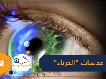 لأول مرة.. إنتاج عدسات الحرباء اللاصقة!