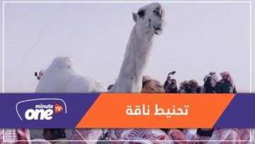 في سابقة.. السعودية تحنط الجميلة خزامة