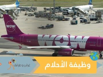 هذه شروط وظيفة الأحلام.. تسافر جميع أنحاء العالم وتحصل على المال!