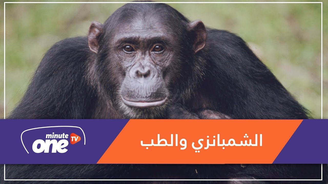 التحميل المسبق صورة