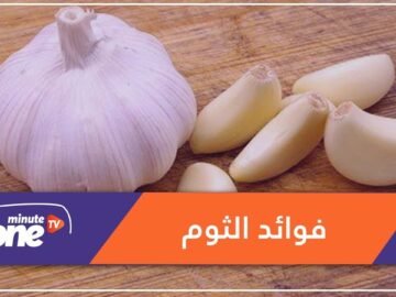 هل تعلم أن الثوم يقوي الجسم ويساعد في تخفيض الوزن؟