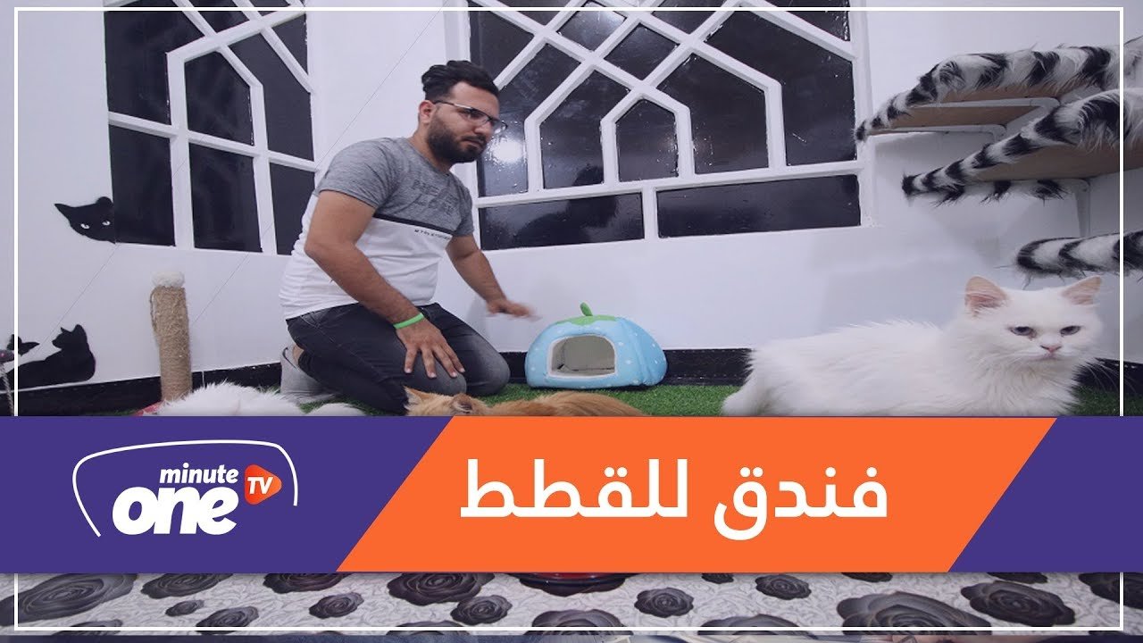 التحميل المسبق صورة