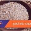 اكتشف 5 فوائد لنخالة القمح على جسم الإنسان
