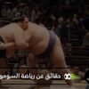مصارعة العمالقة.. 5 معلومات مثيرة عن رياضة السومو اليابانية