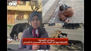 خاص: [ID: 0t0TTec4de0] Youtube Automatic