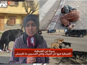 خاص: [ID: 0t0TTec4de0] Youtube Automatic