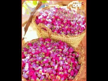 خاص: [ID: etFH8zB1Stk] Youtube Automatic