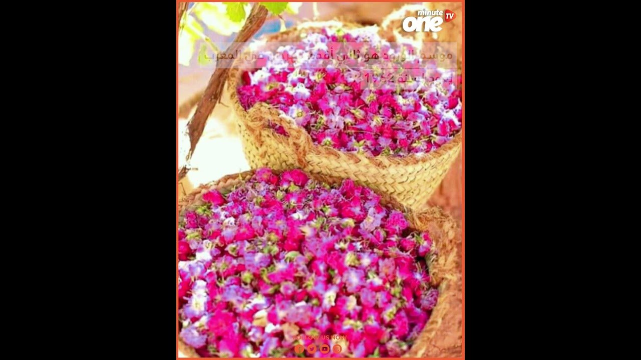 التحميل المسبق صورة