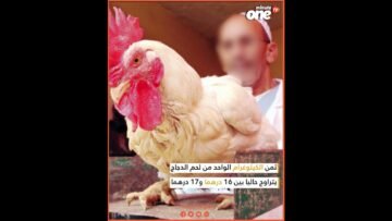 خاص: [ID: 55ZNKwpTgeg] Youtube Automatic