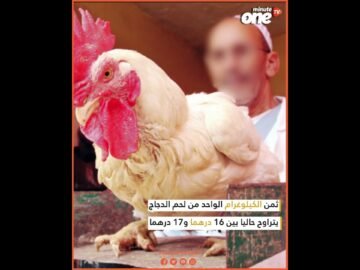 خاص: [ID: 55ZNKwpTgeg] Youtube Automatic