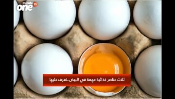 خاص: [ID: IBT4npfpQoU] Youtube Automatic