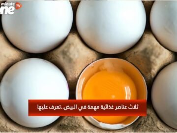 خاص: [ID: IBT4npfpQoU] Youtube Automatic