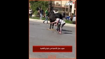 خاص: [ID: xmOCLuqo9hg] Youtube Automatic