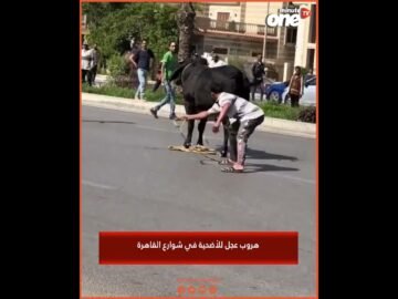 خاص: [ID: xmOCLuqo9hg] Youtube Automatic
