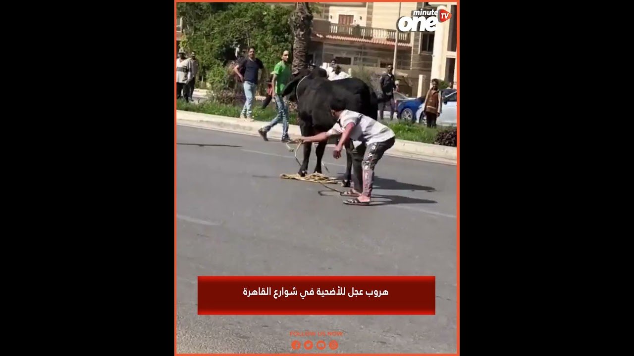 التحميل المسبق صورة