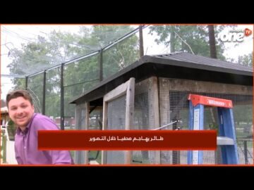 خاص: [ID: Y22H9GWg-Y0] Youtube Automatic