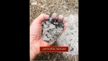 خاص: [ID: 2lw2UAx7080] Youtube Automatic