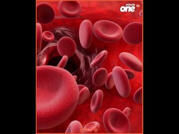 خاص: [ID: 51XT4iU2PRI] Youtube Automatic