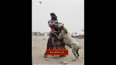 خاص: [ID: 5Hxq7RR2S8Q] Youtube Automatic