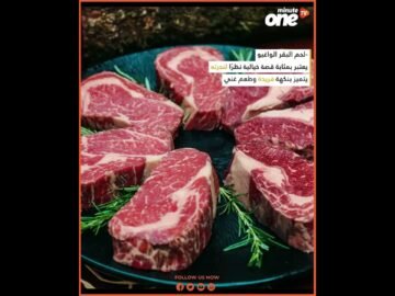 خاص: [ID: mO0uZFjAhIQ] Youtube Automatic