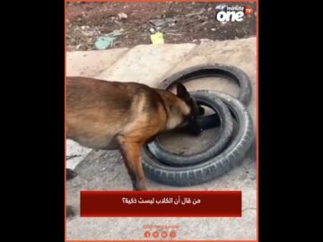 خاص: [ID: NBzHgPZlMjc] Youtube Automatic