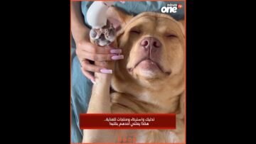 خاص: [ID: OQ07gmUhnM4] Youtube Automatic