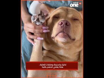 خاص: [ID: OQ07gmUhnM4] Youtube Automatic