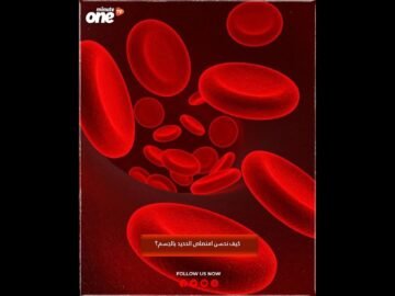 خاص: [ID: piWREBNuaW4] Youtube Automatic