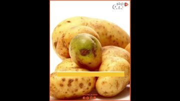 خاص: [ID: Qa3x9ALfQi4] Youtube Automatic